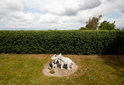 Garten-zum-Außenbereich