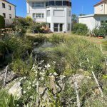 Südseite-mit-Gartenteich