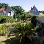 Südlicher-Garten-mit-Teich