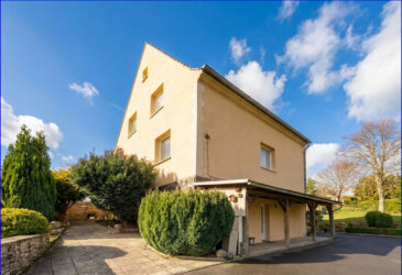 Blick-vom-Garten-aus